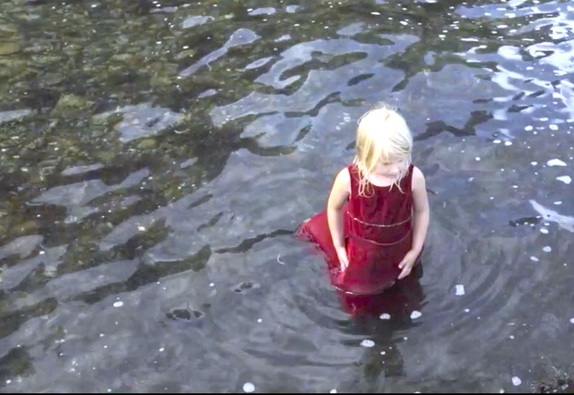Default alma i havet