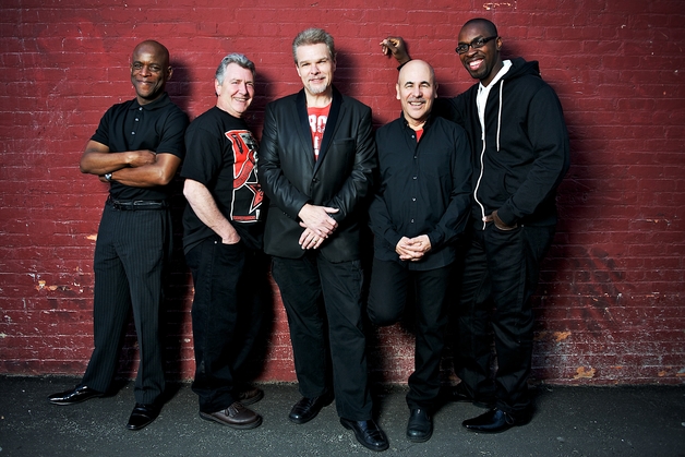 Default http spyrogyra.com wp content downloads spyrogyra color brickwall