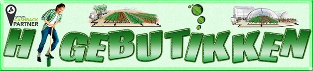 Default cashback1